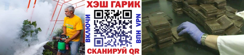 ГАШ VHQ  Нижнекамск 
