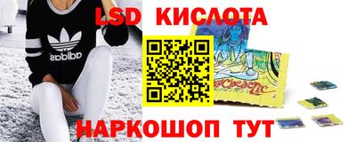 шишки Камышлов
