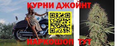 шишки Камышлов
