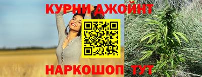 шишки Камышлов