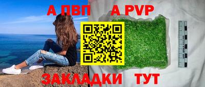 шишки Камышлов