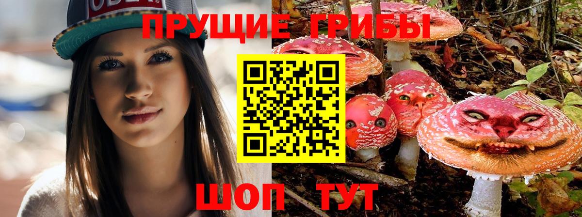 Нижнекамск  Псилоцибиновые грибы GOLDEN TEACHER  Вход с VPN 